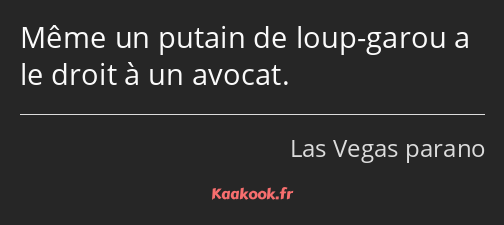 Même un putain de loup-garou a le droit à un avocat.