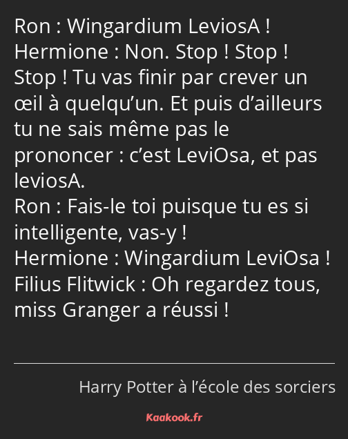 Wingardium LeviosA ! Non. Stop ! Stop ! Stop ! Tu vas finir par crever un œil à quelqu’un. Et puis…