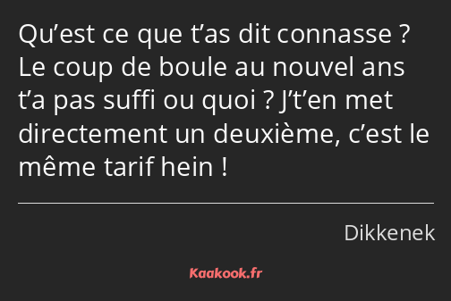 Qu’est ce que t’as dit connasse ? Le coup de boule au nouvel ans t’a pas suffi ou quoi ? J’t’en met…