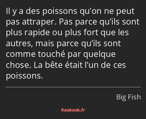 Il y a des poissons qu’on ne peut pas attraper. Pas parce qu’ils sont plus rapide ou plus fort que…