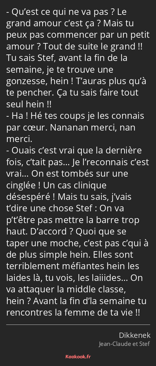 Citation « Qu’est ce qui ne va pas ? Le grand amour c’est… » Kaakook