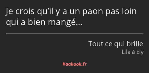 Je crois qu’il y a un paon pas loin qui a bien mangé…