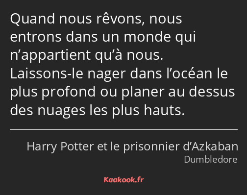 Quand nous rêvons, nous entrons dans un monde qui n’appartient qu’à nous. Laissons-le nager dans…