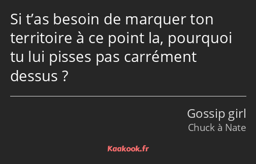 Si t’as besoin de marquer ton territoire à ce point la, pourquoi tu lui pisses pas carrément dessus…