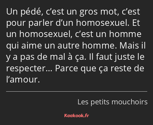 Un pédé, c’est un gros mot, c’est pour parler d’un homosexuel. Et un homosexuel, c’est un homme qui…