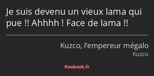 Je suis devenu un vieux lama qui pue !! Ahhhh ! Face de lama !!