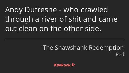 Andy Dufresne - who crawled through a river of shit and came out clean on the other side.