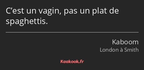 C’est un vagin, pas un plat de spaghettis.