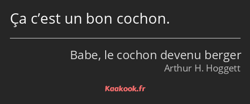 Ça c’est un bon cochon.