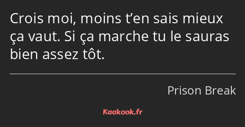 Crois moi, moins t’en sais mieux ça vaut. Si ça marche tu le sauras bien assez tôt.