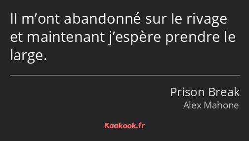 Il m’ont abandonné sur le rivage et maintenant j’espère prendre le large.