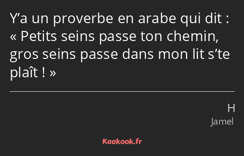 Y’a un proverbe en arabe qui dit : Petits seins passe ton chemin, gros seins passe dans mon lit…