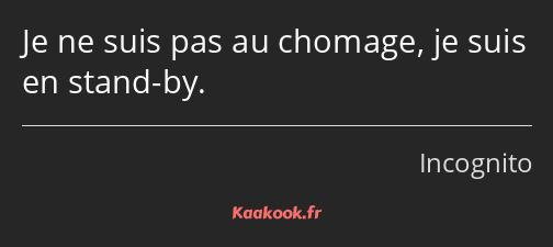 Je ne suis pas au chomage, je suis en stand-by.