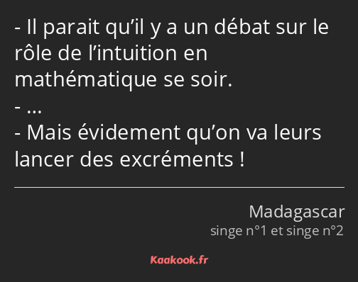 Il parait qu’il y a un débat sur le rôle de l’intuition en mathématique se soir. … Mais évidement…