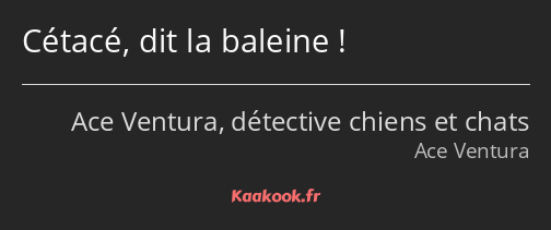 Cétacé, dit la baleine !