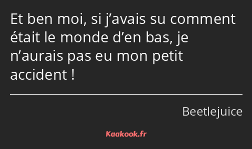 Et ben moi, si j’avais su comment était le monde d’en bas, je n’aurais pas eu mon petit accident !