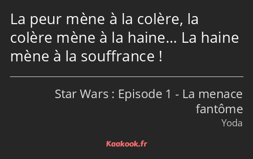 La peur mène à la colère, la colère mène à la haine… La haine mène à la souffrance !