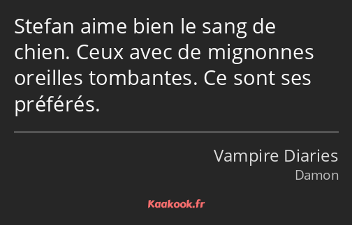 Stefan aime bien le sang de chien. Ceux avec de mignonnes oreilles tombantes. Ce sont ses préférés.