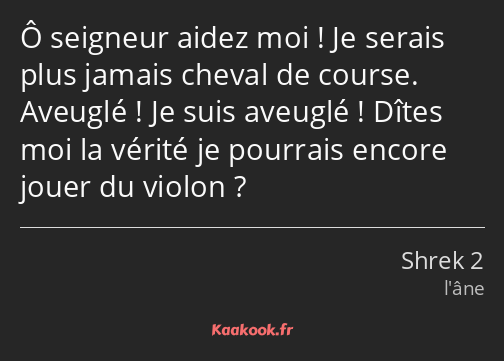 Ô seigneur aidez moi ! Je serais plus jamais cheval de course. Aveuglé ! Je suis aveuglé ! Dîtes…