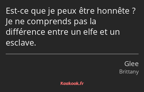 Est-ce que je peux être honnête ? Je ne comprends pas la différence entre un elfe et un esclave.