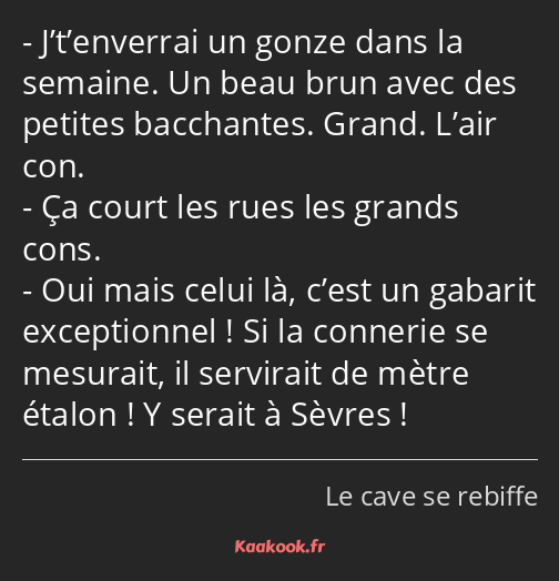 J’t’enverrai un gonze dans la semaine. Un beau brun avec des petites bacchantes. Grand. L’air con…