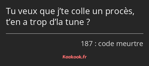 Tu veux que j’te colle un procès, t’en a trop d’la tune ?