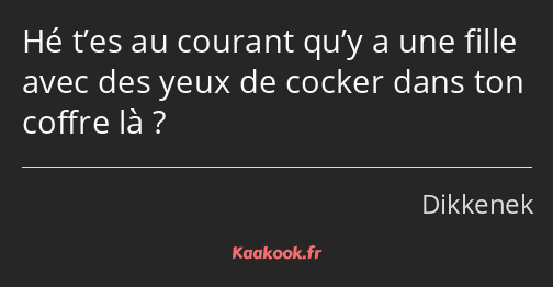 Hé t’es au courant qu’y a une fille avec des yeux de cocker dans ton coffre là ?