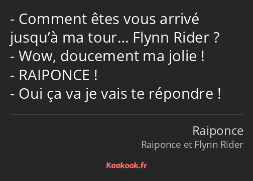 Comment êtes vous arrivé jusqu’à ma tour… Flynn Rider ? Wow, doucement ma jolie ! RAIPONCE ! Oui ça…