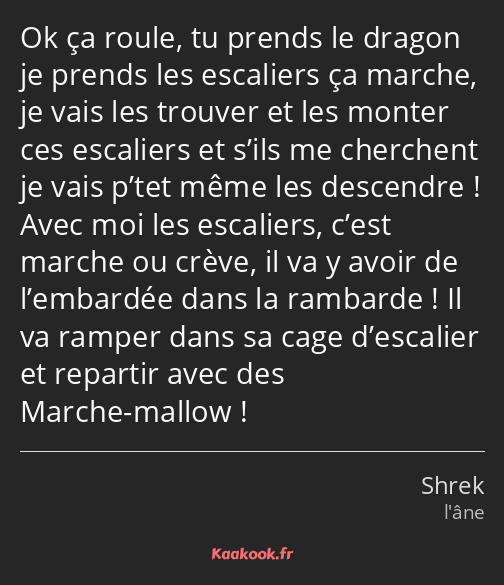 Ok ça roule, tu prends le dragon je prends les escaliers ça marche, je vais les trouver et les…