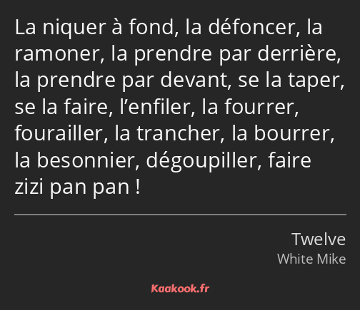 La niquer à fond, la défoncer, la ramoner, la prendre par derrière, la prendre par devant, se la…