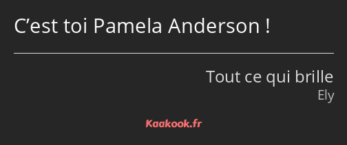C’est toi Pamela Anderson !