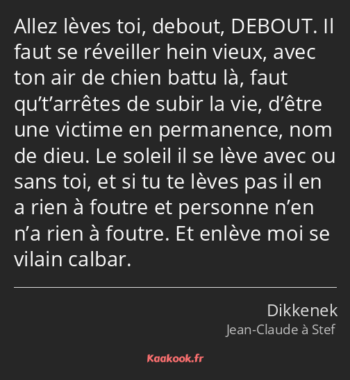 Allez lèves toi, debout, DEBOUT. Il faut se réveiller hein vieux, avec ton air de chien battu là…