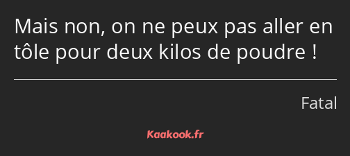 Mais non, on ne peux pas aller en tôle pour deux kilos de poudre !