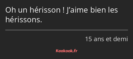 Oh un hérisson ! J’aime bien les hérissons.