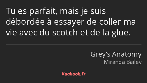 Tu es parfait, mais je suis débordée à essayer de coller ma vie avec du scotch et de la glue.