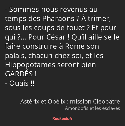 Sommes-nous revenus au temps des Pharaons ? À trimer, sous les coups de fouet ? Et pour qui ?… Pour…