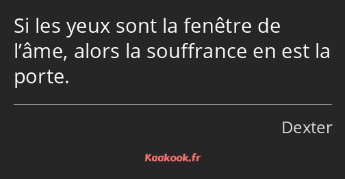 Si les yeux sont la fenêtre de l’âme, alors la souffrance en est la porte.