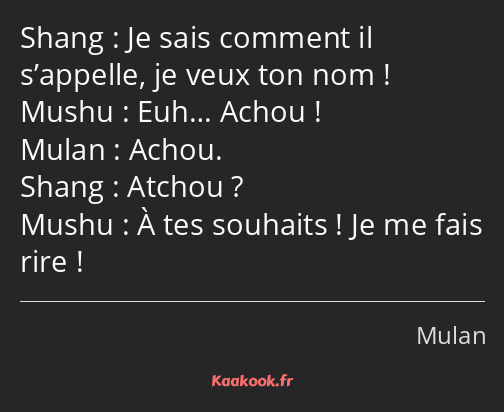 Je sais comment il s’appelle, je veux ton nom ! Euh… Achou ! Achou. Atchou ? À tes souhaits ! Je me…