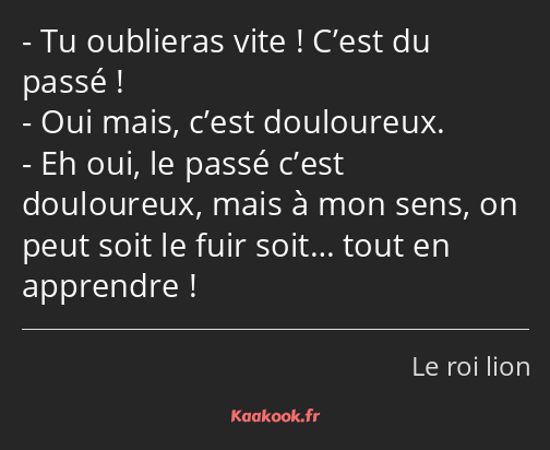 Tu oublieras vite ! C’est du passé ! Oui mais, c’est douloureux. Eh oui, le passé c’est douloureux…