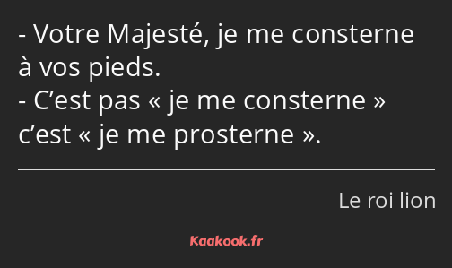 Votre Majesté, je me consterne à vos pieds. C’est pas « je me consterne » c’est « je me prosterne ».