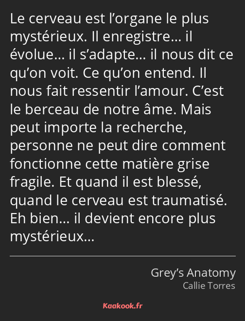 Le cerveau est l’organe le plus mystérieux. Il enregistre… il évolue… il s’adapte… il nous dit ce…