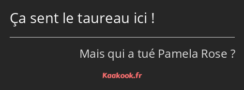 Ça sent le taureau ici !