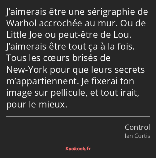 J’aimerais être une sérigraphie de Warhol accrochée au mur. Ou de Little Joe ou peut-être de Lou…