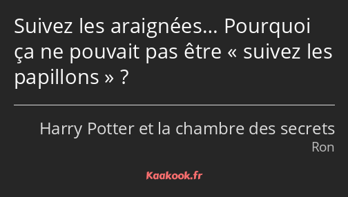 Suivez les araignées… Pourquoi ça ne pouvait pas être suivez les papillons ?