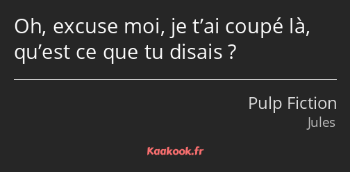 Oh, excuse moi, je t’ai coupé là, qu’est ce que tu disais ?