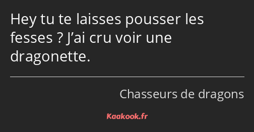 Hey tu te laisses pousser les fesses ? J’ai cru voir une dragonette.