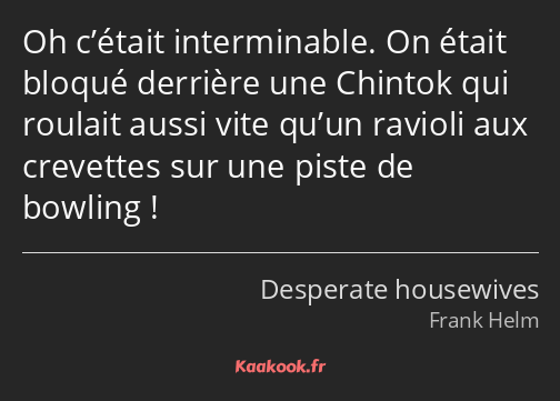 Oh c’était interminable. On était bloqué derrière une Chintok qui roulait aussi vite qu’un ravioli…