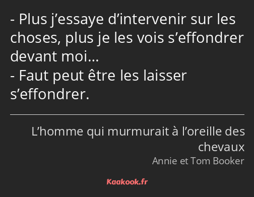 Plus j’essaye d’intervenir sur les choses, plus je les vois s’effondrer devant moi… Faut peut être…