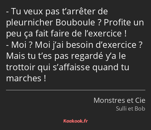 Tu veux pas t’arrêter de pleurnicher Bouboule ? Profite un peu ça fait faire de l’exercice ! Moi…