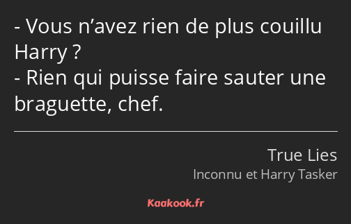 Vous n’avez rien de plus couillu Harry ? Rien qui puisse faire sauter une braguette, chef.